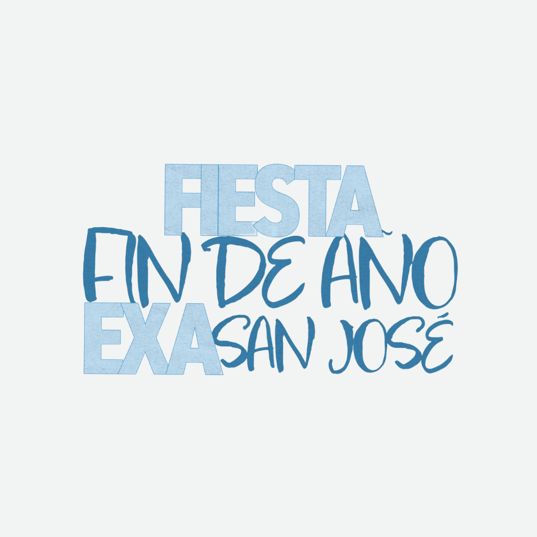FIESTA FIN DE AÑO SAN JOSE